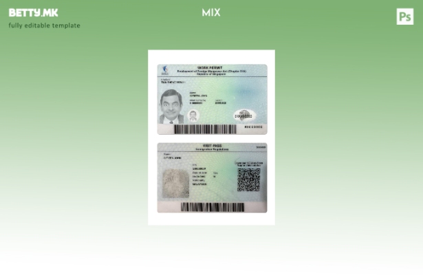 Модерен стил шаблон за работна дозвола во Сингапур